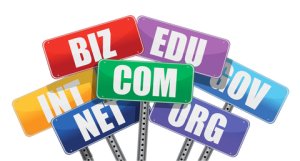 domain & Hosting