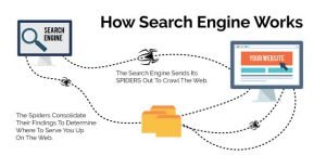 How-Search-Engine-Works-Blog-Image-white-background