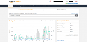 Affiliate marketing earning